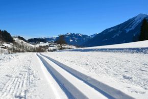 Detaillierte Infos zum Langlauf und den Loipen im Langlaufgebiet Goldegg