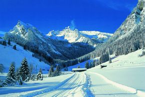 Detaillierte Infos zum Langlauf und den Loipen im Langlaufgebiet Grimmialp Diemtigtal