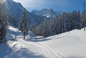 Detaillierte Infos zum Langlauf und den Loipen im Langlaufgebiet Grimmialp Diemtigtal