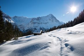 Winterwunderland im Berner Oberland