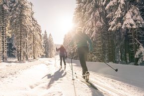 Information on Cross-Country Skiing at Hochficht