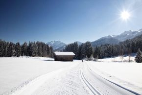Information on Cross-Country Skiing at Hochfilzen
