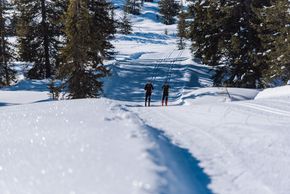 Information on Cross-Country Skiing at Hochkönig