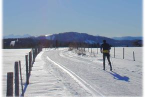 Detaillierte Infos zum Langlauf und den Loipen im Langlaufgebiet Hochrindl Sirnitz