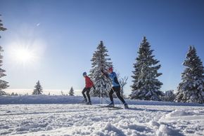Für begeisterte Langläufer werden im Hochschwarzwald täglich über 700 km Loipen von mehr als 22 Loipenspurgeräten präpariert.