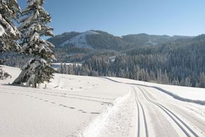 Information on Cross-Country Skiing at Hörnergruppe