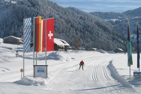 Information on Cross-Country Skiing at Hörnergruppe