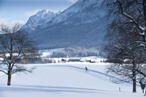Information on Cross-Country Skiing at Inzell