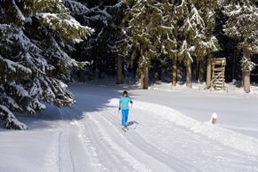 Klassischer Langlauf im DSV Nordic Aktiv Zentrum Isny im Allgäu