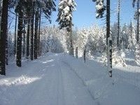 Information on Cross-Country Skiing at Jöhstadt
