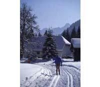 Information on Cross-Country Skiing at Kasberg Grünau