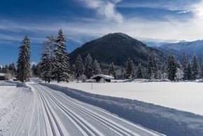 Information on Cross-Country Skiing at Pertisau