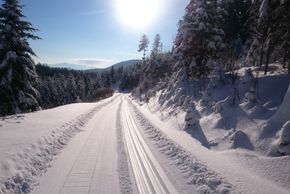 Langlaufen auf der Hohenzollernloipe im Sonnenschein mit großartigen Ausblicken