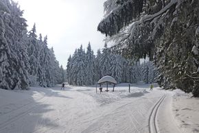 74 km Loipen auf einer Höhenlage von 750 bis 1.050 m mit acht verschiedenen Loipen unterschiedlicher Schwierigkeitsgrade steht dir im Langlaufzentrum Sankt Englmar zur Verfügung.