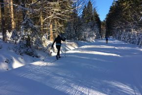 Im Langlaufzentrum Grainet-Obergrainet-Haidel ist klassisches Langlaufen, aber auch Skating möglich.