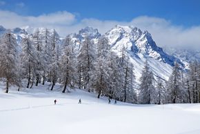 Detaillierte Infos zum Langlauf und den Loipen im Langlaufgebiet Puy St Vincent