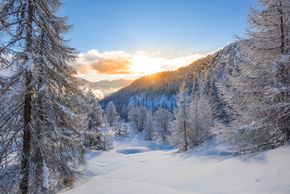 Detaillierte Infos zum Langlauf und den Loipen im Langlaufgebiet Puy St Vincent