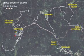 Information on Cross-Country Skiing at Pokljuka