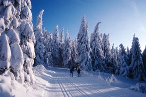 Information on Cross-Country Skiing at Nordic Center Sankt Englmar - Hirschenstein