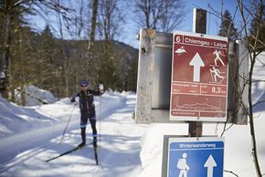 Langlaufen in Reit im Winkl