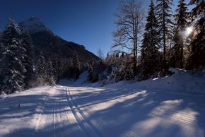 Langlaufen in Steinberg - mit Blick auf den 2.195 Meter hohen Guffert, der Hausberg der Steinberger