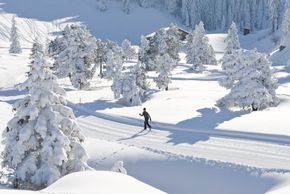 Detaillierte Infos zum Langlauf und den Loipen im Langlaufgebiet Stoos