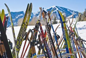 All necessery equipment can be rented on-site.