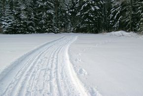 Auf perfekt präparierten Loipen durch die Wälder um Schömberg