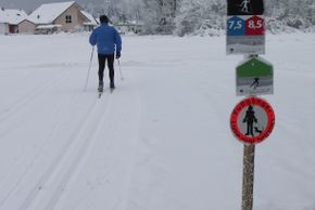 Alle Loipen im Gebiet sind gut ausgeschildert.