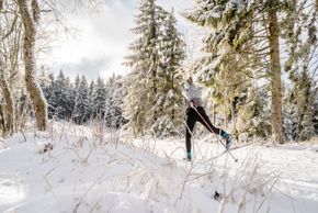 Detaillierte Infos zum Langlauf und den Loipen im Langlaufgebiet Schöneck