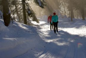 Für geübte Langläufer sind die schwarz markierten Loipen eine tolle Herausforderung.