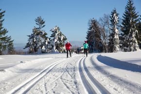 Im Loipengebiet Schwarzwaldhochstraße ist klassisches Langlaufen, aber auch Skating möglich.