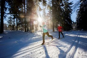 Die Loipen führen dich durch die verschneite Winterlandschaft des Nordschwarzwald.