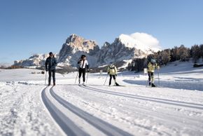 Dolomitenregion Seiser Alm
