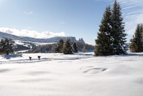 Dolomitenregion Seiser Alm