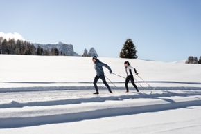 Dolomitenregion Seiser Alm