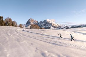 Dolomitenregion Seiser Alm