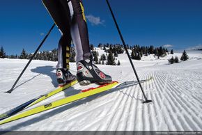 Detaillierte Infos zum Langlauf und den Loipen im Langlaufgebiet Val di Fiemme
