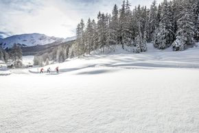 Information on Cross-Country Skiing at Val Müstair