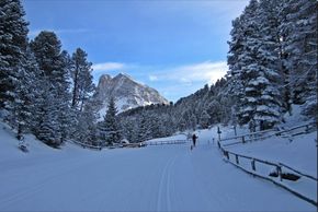Information on Cross-Country Skiing at Villnöss