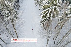 Langlaufen und Winterwandern in der Natur-aktiv-Region Oberer Bayerischer Wald/Böhmischer Wald