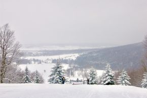 White Grass Ski Area 2010