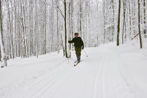 White Grass Ski Trails 2010