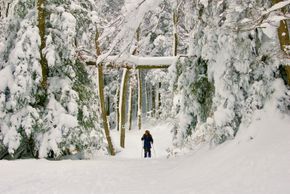 White Grass Ski Trails 2010