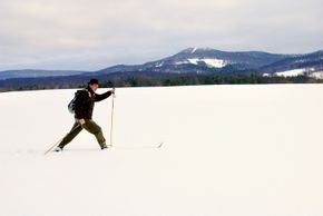 Skiing in the State Park
