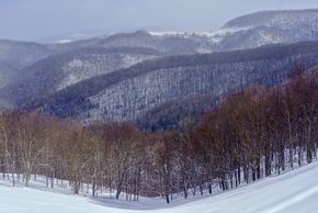 Canaan Valley Area 2010