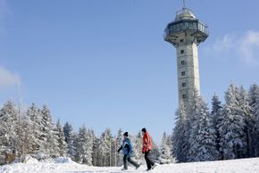 Information on Cross-Country Skiing at Willingen