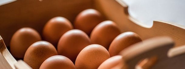 General information about your stay at Aqua Bad Cortina - Oasis Hotel