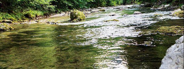 General information about your stay at Hotel Kartause Gaming