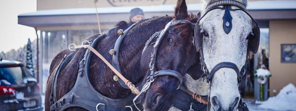 General information about your stay at Hotel Reinerhof